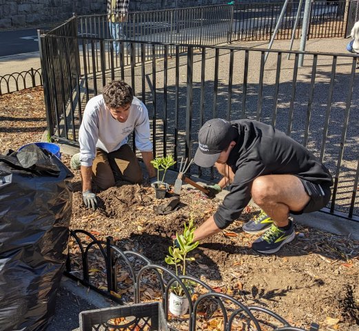 Agency Photo  (268918)