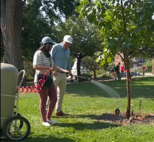 Agency Photo  (268912)