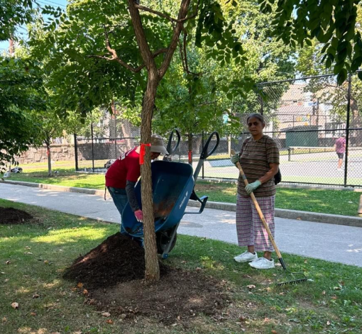 Agency Photo  (268915)