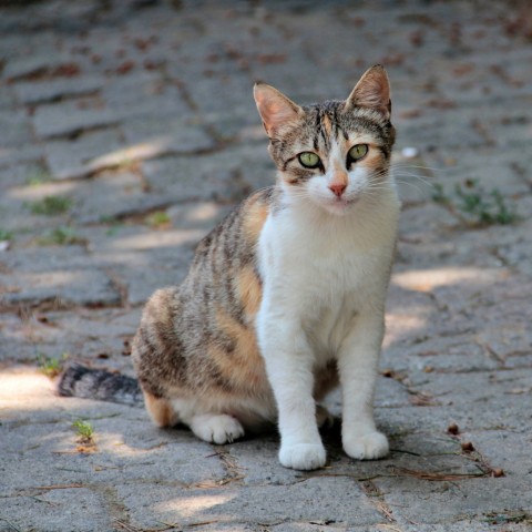 Program Photo  (202565)