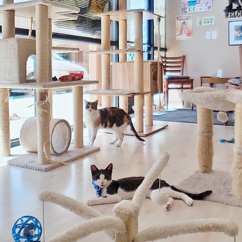 Program Photo  (202567)