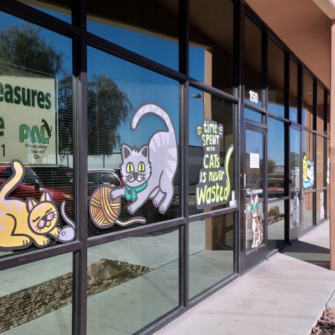 Program Photo  (202568)