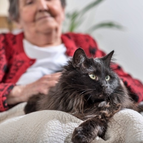 Program Photo  (202566)