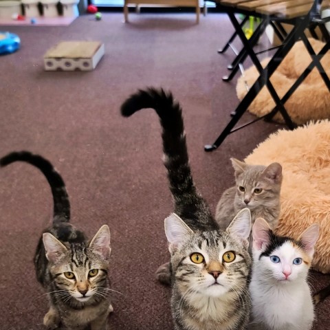 Program Photo  (202569)