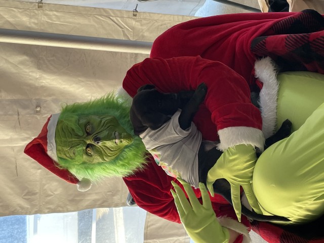 Agency Photo  (203111)