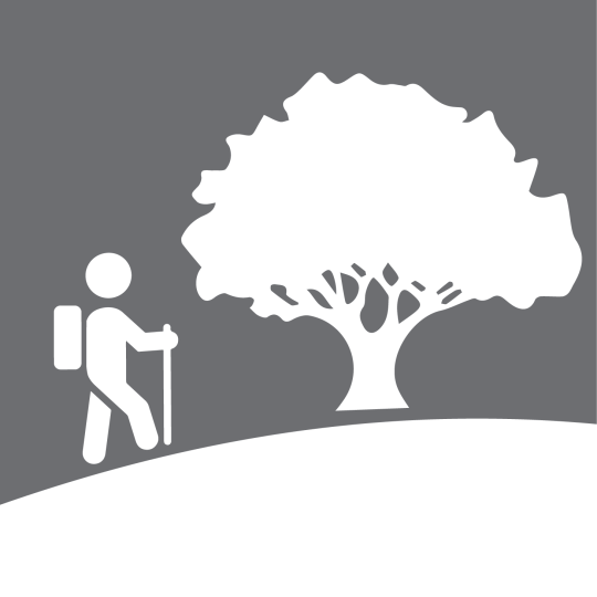Program Logo