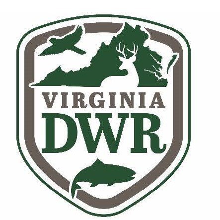 Program Logo
