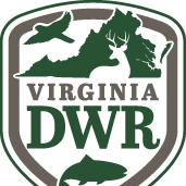 Program Logo
