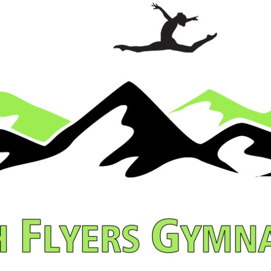 Organization Logo