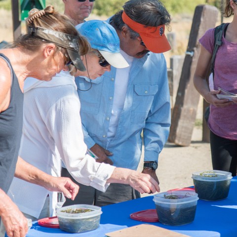 Program Photo  (207511)