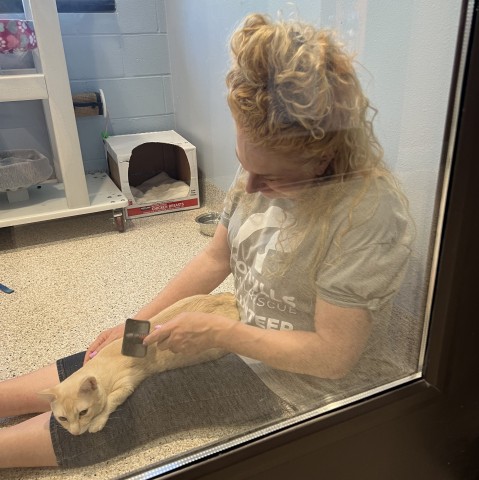 Program Photo  (210304)