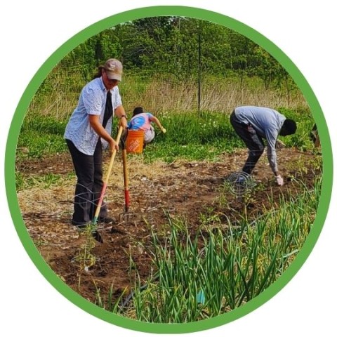 Program Photo  (209432)