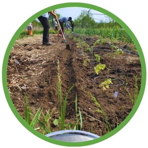 Program Photo  (209427)