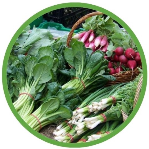 Program Photo  (209434)