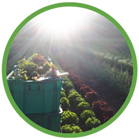 Program Photo  (209429)