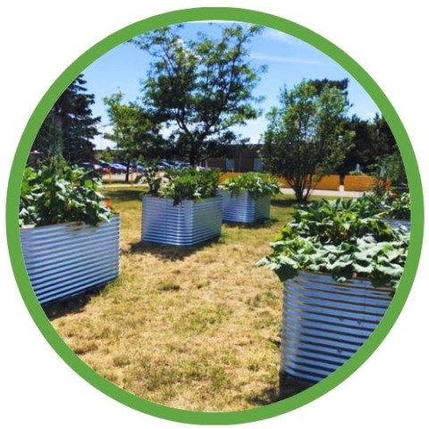 Program Photo  (209430)