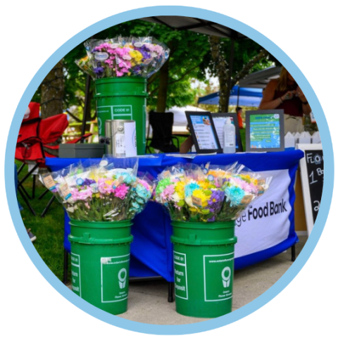 Program Photo  (211665)