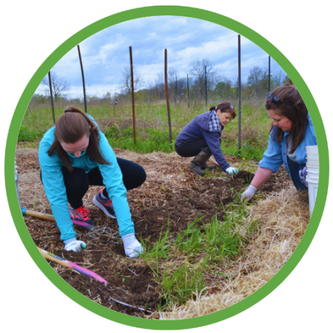 Program Photo  (211660)