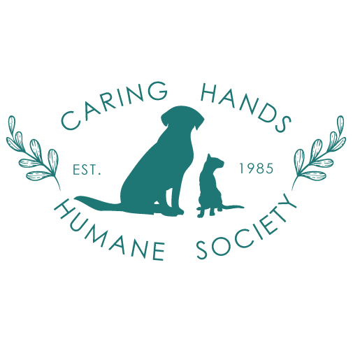Agency Logo