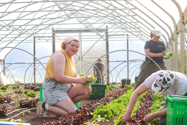 Program Photo  (213705)