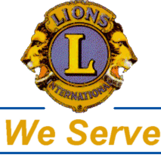 Organization Logo