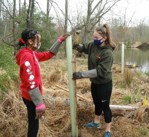 Agency Photo  (243202)