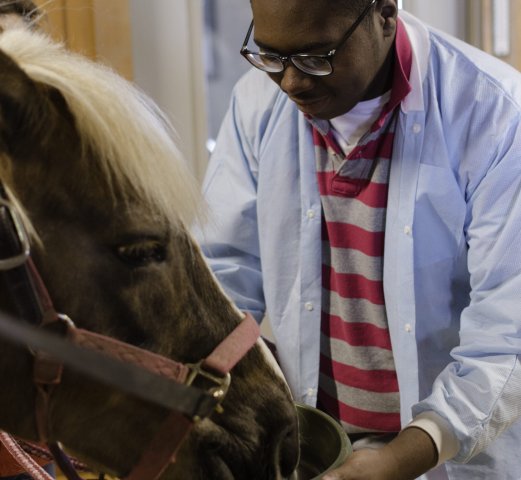 Agency Photo  (242416)