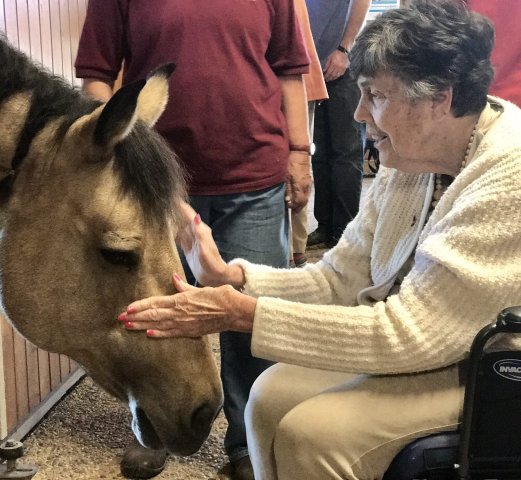 Agency Photo  (242426)