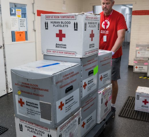 Agency Photo  (243212)