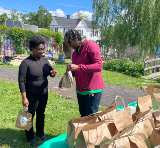 Agency Photo  (239705)