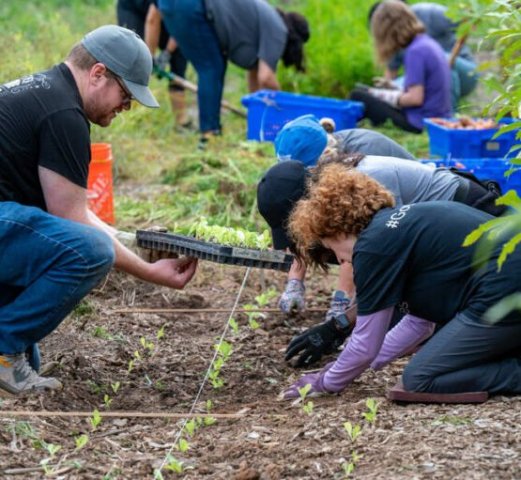 Agency Photo  (240032)