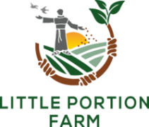 Agency Logo