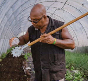 Agency Photo  (255851)