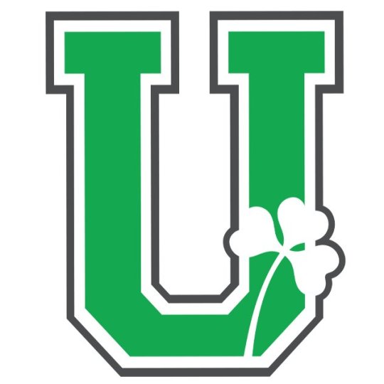 Volunteer Program Logo