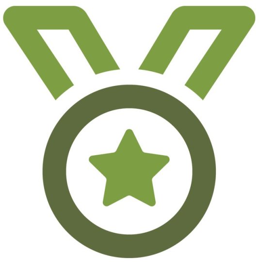 Volunteer Program Logo