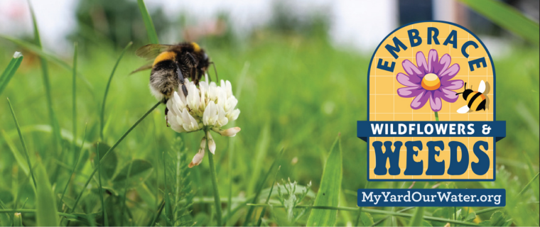 Bumblebee on a flower in a grass lawn with the message 