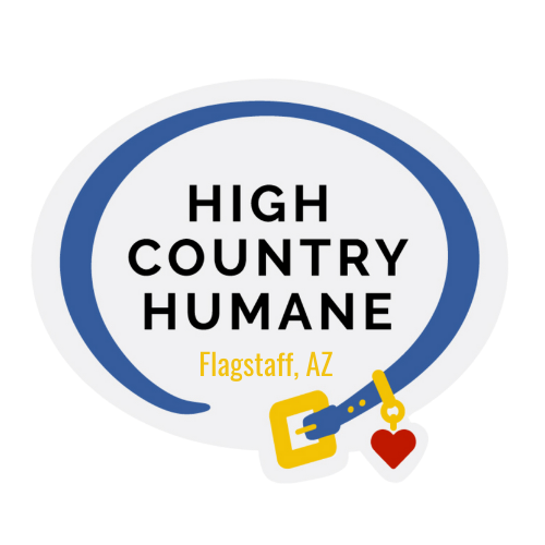 Agency Logo