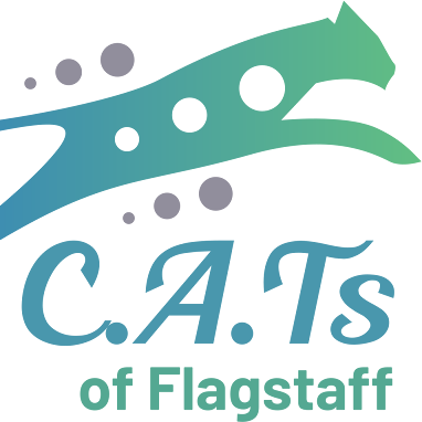 Agency Logo
