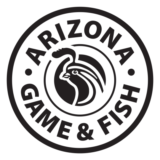 Agency Logo