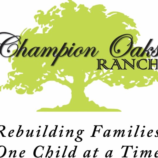Agency Logo