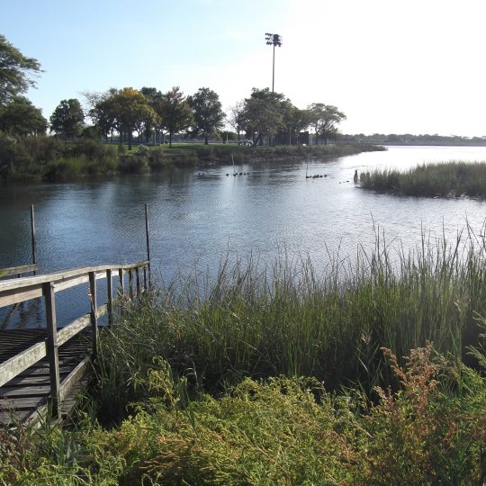 Neighborhood Cleanup Group Logo