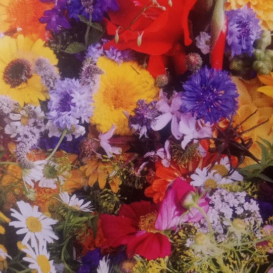 Neighborhood Cleanup Group Logo