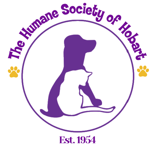 Organization Logo