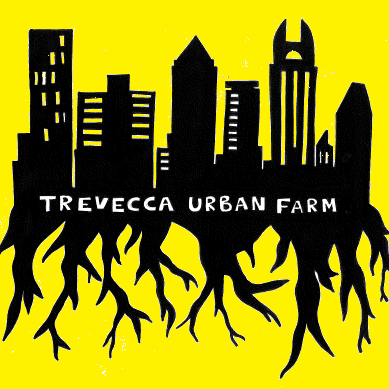 Agency Logo