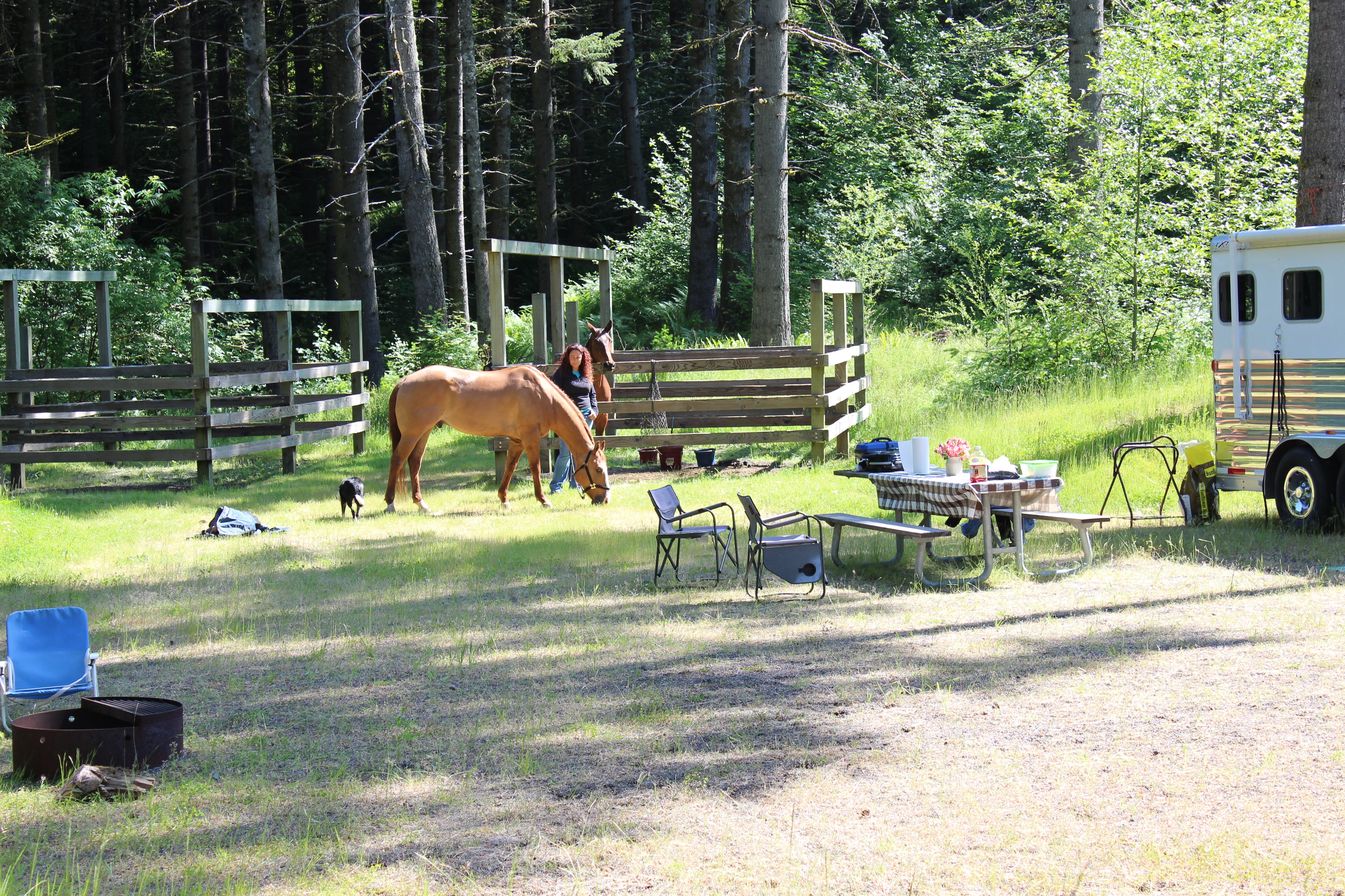 Horse camp, with trailer, horse, and camper