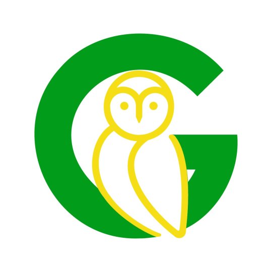 Organization Logo