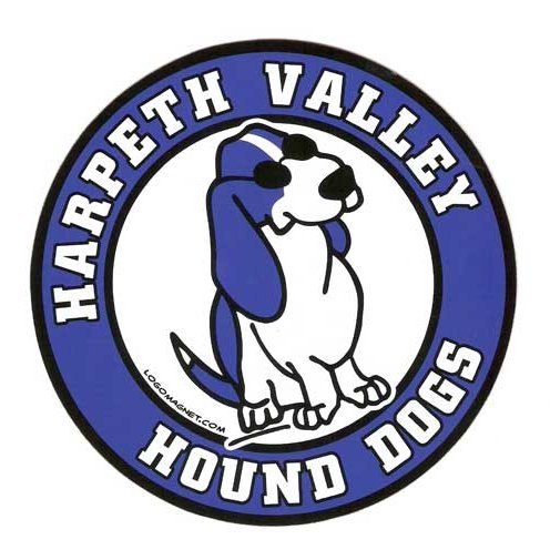 Organization Logo