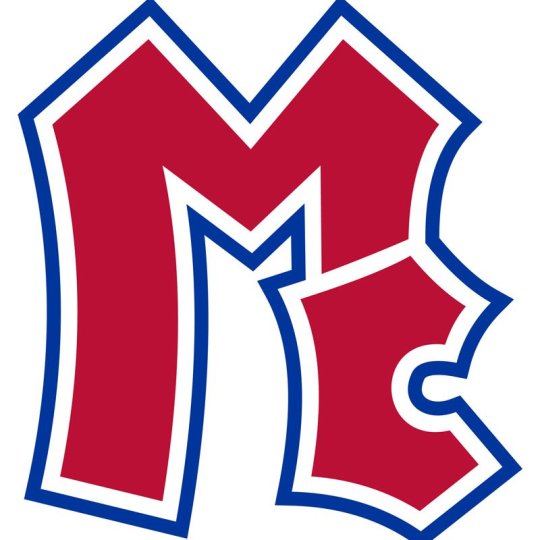 Organization Logo