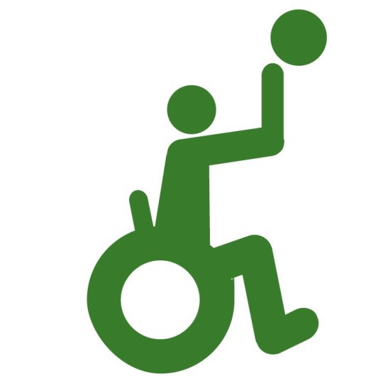 Program Logo