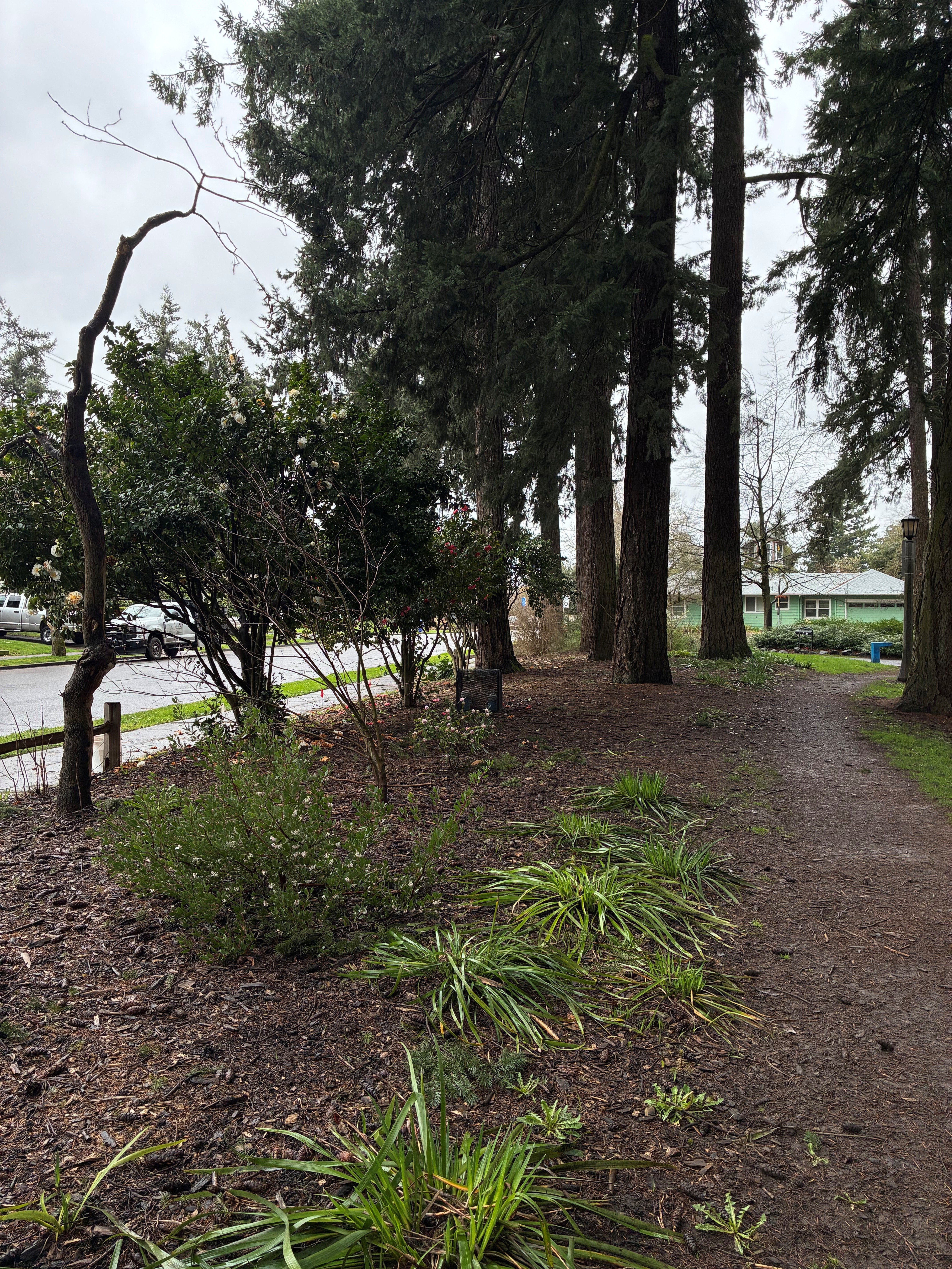 photo of a garden bed at columbia cottage